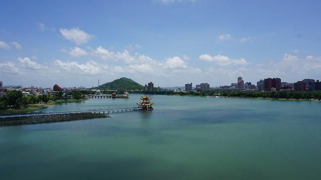 Lotus Pond